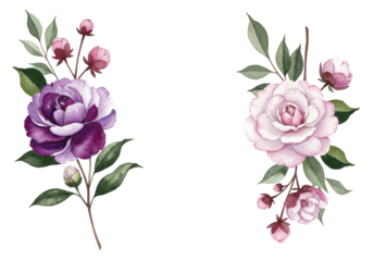 Symmetrical watercolor camellia bouquets, purple-to-white and soft pink, with green foliage on clean light grey background, ample copy space, elegant botanical art concept