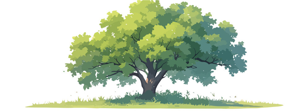 Illustration d'un grand arbre feuillu avec un feuillage vert luxuriant et un tronc robuste, isol&eacute; sur un fond transparent, symbolisant la nature et la croissance &eacute;cologique.