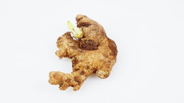Ginger Root Rotating on White Background Isolated