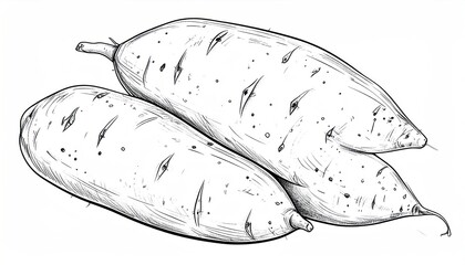 Detailed Sketch of Sweet Potatoes - A Culinary Illustration.
