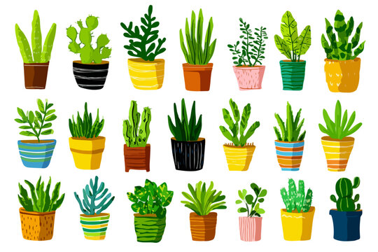 Collection vectorielle de plantes en pot, succulentes et cactus, avec des pots color&eacute;s, isol&eacute;e sur un fond transparent pour la d&eacute;coration int&eacute;rieure.