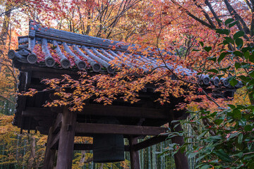 京都府左京区圓光寺鐘の余韻紅葉にとけて