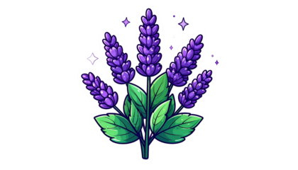Illustration of lavender blooms with green leaves and sparkling accents