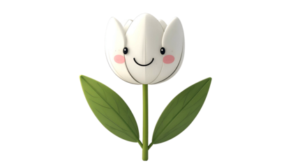Smiling white tulip with rosy cheeks and green leaves against a black background
