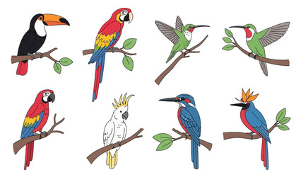 Naklejka premium collection of colorful tropical birds perched on tree branches isolated on white background