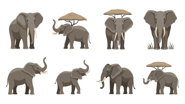 Collection of diverse elephant illustrations showcasing various poses and African tree elements