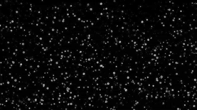 雪 降雪 4K CG パーティクル