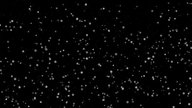 雪 降雪 4K CG パーティクル