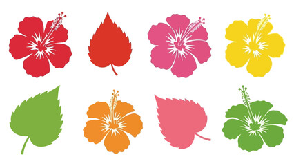 Collection of vibrant hibiscus flowers and leaves in various colors set against a white background © F2_STU