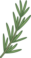 Fototapeta premium Rosemary Herb Vector Graphic Illustration with Green Leaves and Stem on White Background