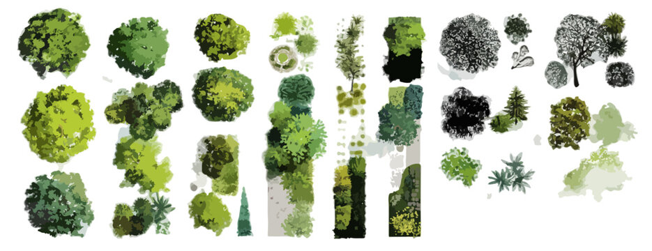 Eine vielf&auml;ltige Sammlung transparenter B&auml;ume und Pflanzen in Draufsicht, perfekt f&uuml;r Architektur, Landschaftsarchitektur und Stadtplanung.