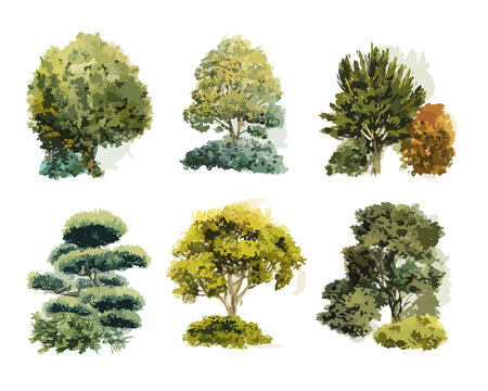 Set von sechs verschiedenen Baum- und Buschillustrationen in Aquarell-Optik, isoliert auf transparentem Hintergrund f&uuml;r Landschaftsgestaltung.