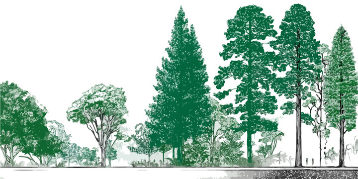 Illustrazione vettoriale di un assortimento di alberi e vegetazione, perfetta per progetti di design ecologico con sfondo trasparente.