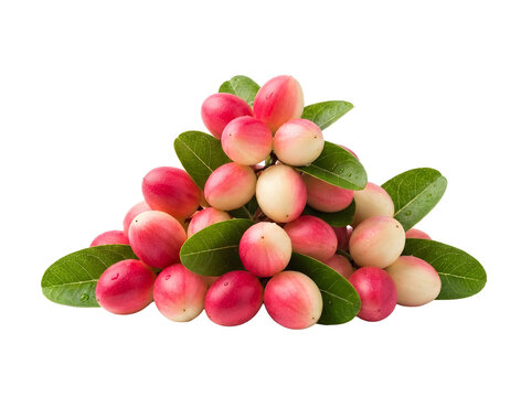 Fresh Karonda Fruit Pile Isolated Black Background Food
