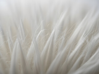 Close up abstract view of soft white fuzzy strands with delicate texture