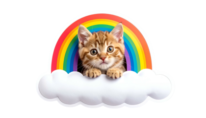 A ginger kitten peeks through a vibrant rainbow and cloud-shaped sticker on a black background