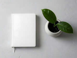 Minimalist composition of a blank white notebook beside a potted plant