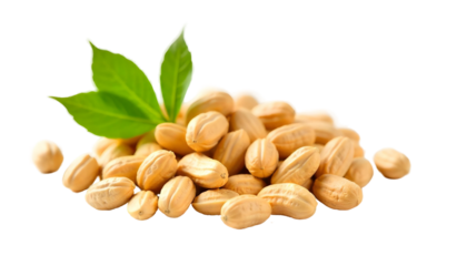 Unshelled peanuts accompanied by leaves on a transparent background, symbolizing the harvest season for National Peanut Month