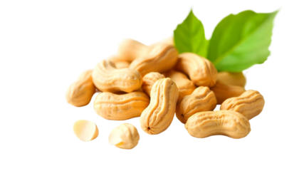 Fresh peanuts with leaves against a transparent backdrop, representing the essence of National Peanut Month and its culinary uses