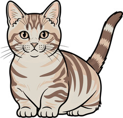 Flat vector illustration of a Munchkins Cat isolated on white background