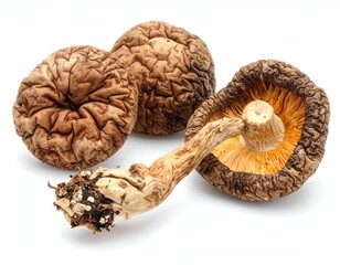 Three dried mushrooms isolated on white, one showing underside details
