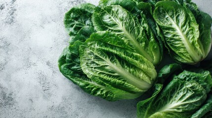 Obraz premium Bunches of fresh romaine lettuce are arranged neatly on a light textured surface. These greens are ready to be washed and added to a salad. Light reflects off the crisp leaves.