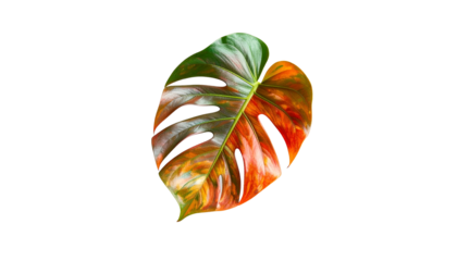 A vibrant tropical leaf with a split color gradient against a black backdrop