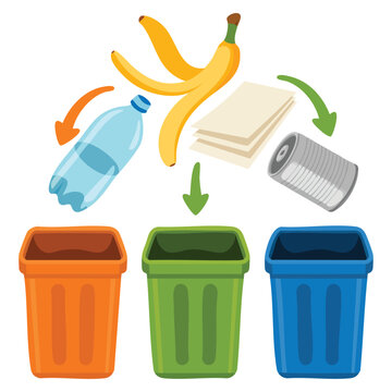 Sorting waste for recycling segregation and separation garbage disposal bins flat vector illustration ideal for environmental awareness and sustainability education