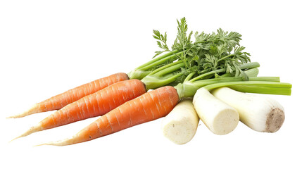 Carrot turnip and beetroot three winter root crops with green tops on transparent background