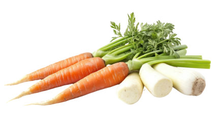 Carrot turnip and beetroot three winter root crops with green tops on transparent background