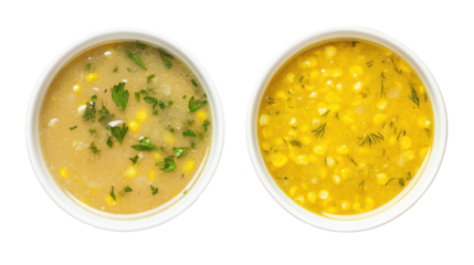 Chicken noodle soup and vegetable soup two bowls side by side on transparent background