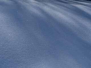 雪に覆われた森　冬景色　長野県白馬村