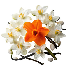 Obraz premium A vibrant floral arrangement with a black background