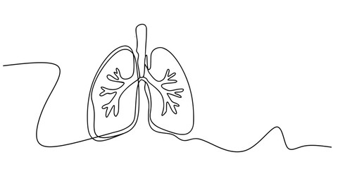 Breath in Line: Minimalist Lung Anatomy, A continuous line drawing of human lungs, highlighting the trachea, bronchi, and bronchioles