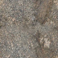 Seamless Rock Surface Texture