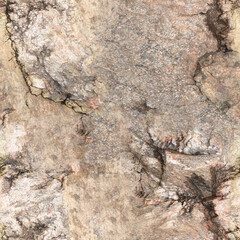 Seamless Rock Surface Texture