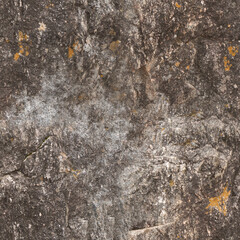 Seamless Rock Surface Texture