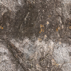 Seamless Rock Surface Texture