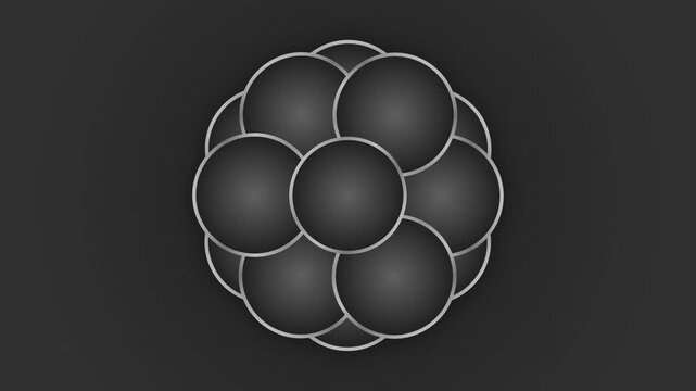 Abstract representation of cell division and early embryonic development.