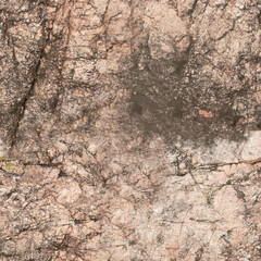 Seamless Rock Surface Texture