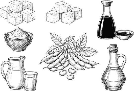 Collection of diverse soy products and ingredients