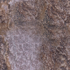 Seamless Rock Surface Texture