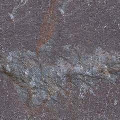 Seamless Rock Surface Texture