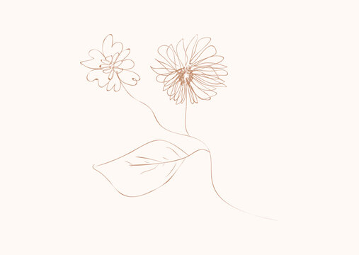 Vintage Style Simple Flower Outline