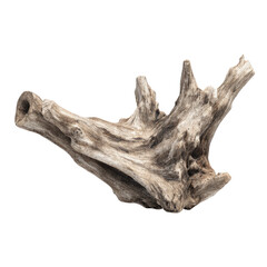 Weathered driftwood with intricate textures and natural shapes on a black background