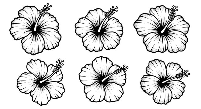 Set of six hand-drawn hibiscus flowers in black and white line art style.
