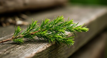Simple Green, Wood Texture