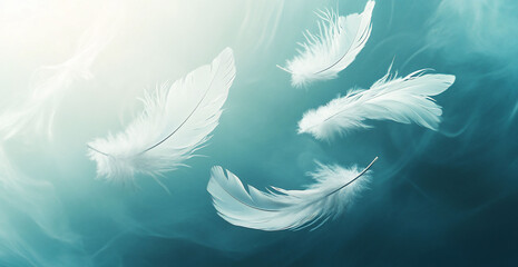 White Feathers Floating Teal Background Tranquil Serene Peaceful Image
