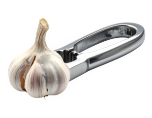 Garlic bulb close up with papery skin.