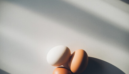 真上から見た新鮮な卵